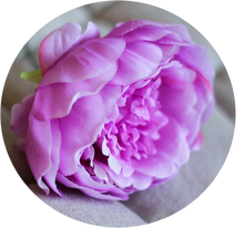 Load image into Gallery viewer, Peonia Fucsia