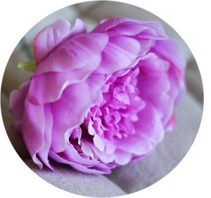 Peonia Fucsia