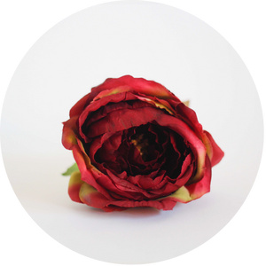Peonia roja degradada