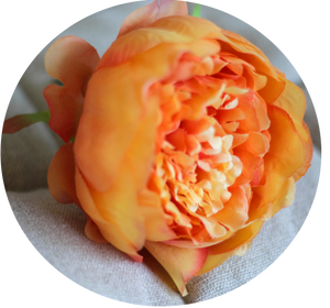 Peonia Naranja