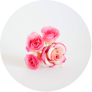 Ramillete de rosas rosas