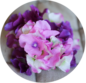 Hortensia morada