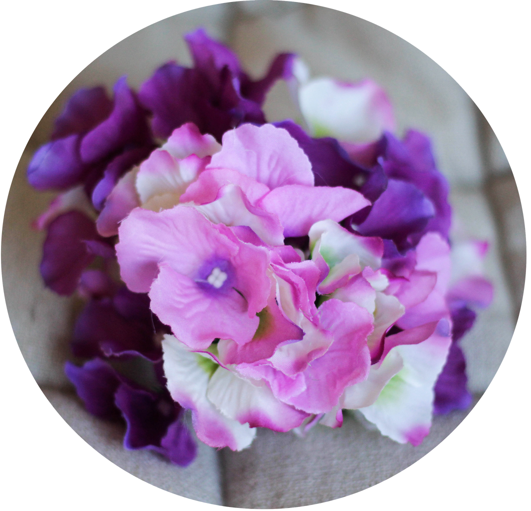 Hortensia morada