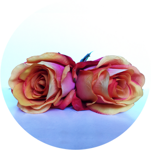 Ramillete de rosas naranja degradado.