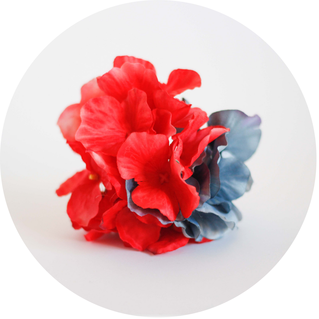 Hortensia roja y azul