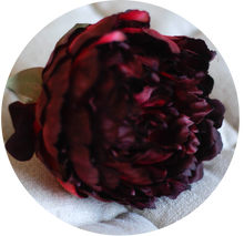 Load image into Gallery viewer, Peonia granate