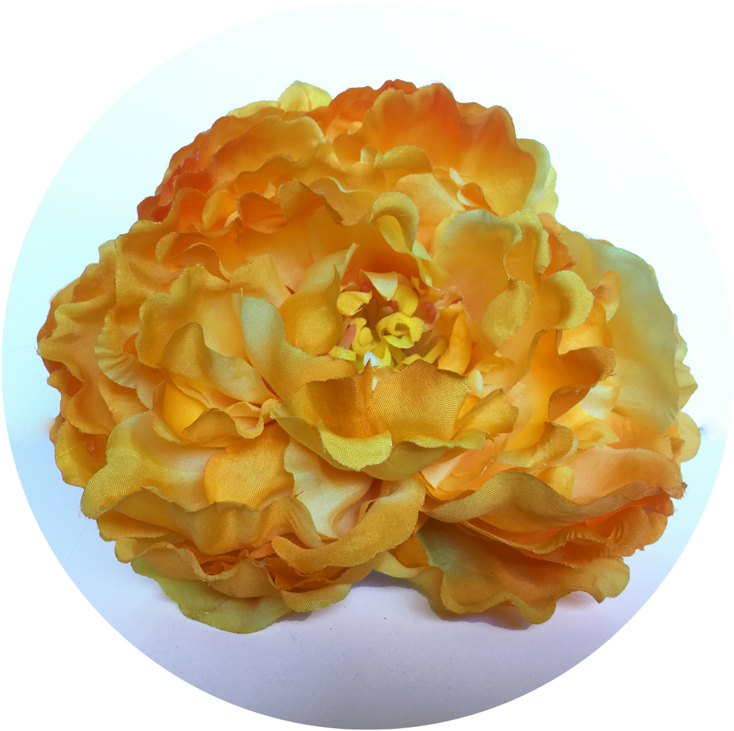 Maxi Peonia amarilla