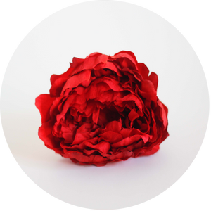 Peonia Roja