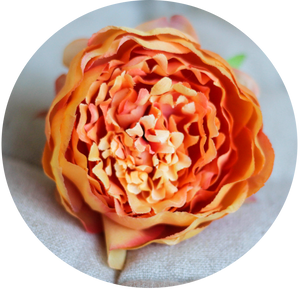 Peonia Naranja