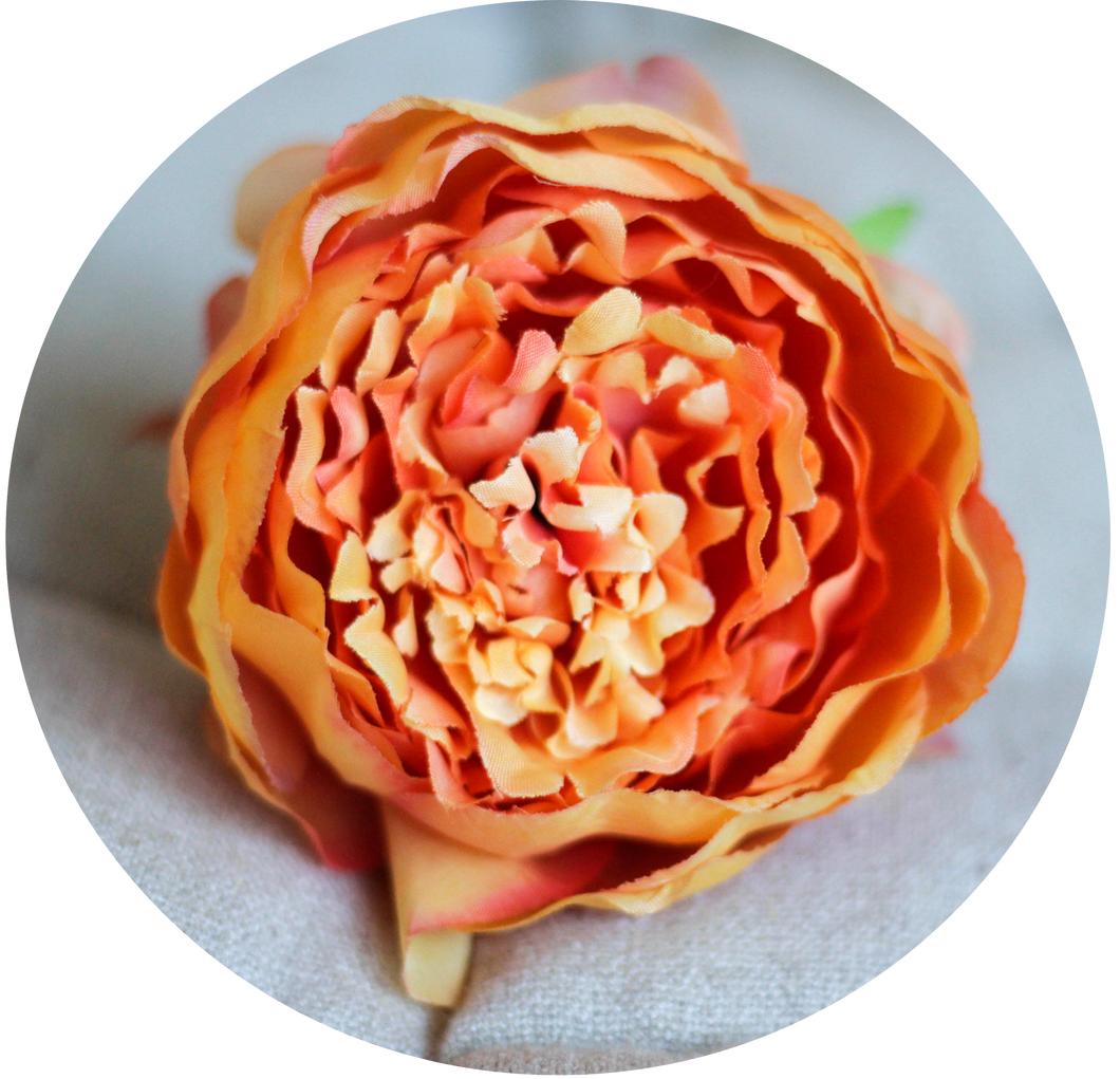 Peonia Naranja