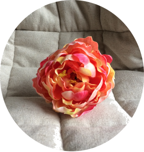 Peonia nara﻿﻿nja fluor degradada