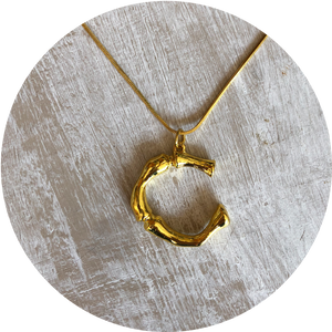 Collar Inicial Grande "C"