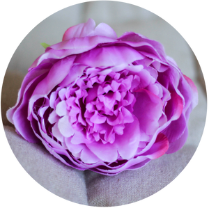 Peonia Fucsia