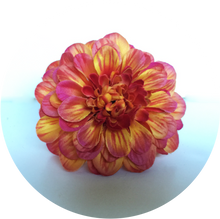 Load image into Gallery viewer, Zinia naranja degradado