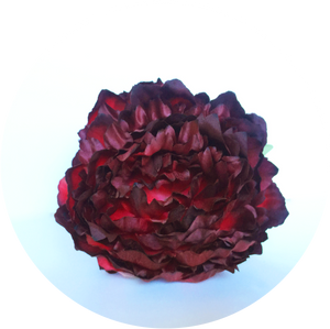 Peonia granate