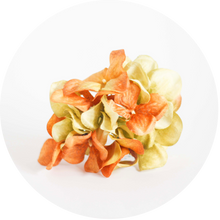 Load image into Gallery viewer, Hortensia Tosatada y verde