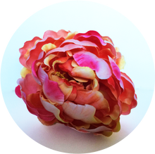 Load image into Gallery viewer, Peonia nara﻿﻿nja fluor degradada