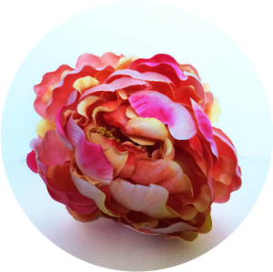 Peonia nara﻿﻿nja fluor degradada