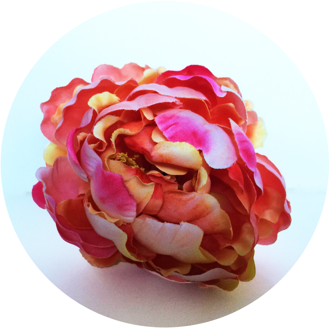 Peonia nara﻿﻿nja fluor degradada
