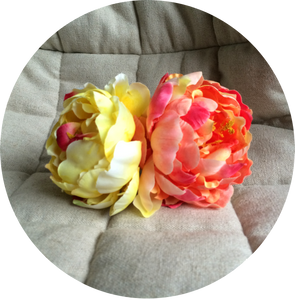Peonia nara﻿﻿nja fluor degradada