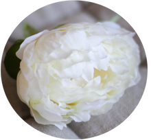 Load image into Gallery viewer, Peonia blanca
