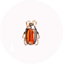 Load image into Gallery viewer, Broche Insecto
