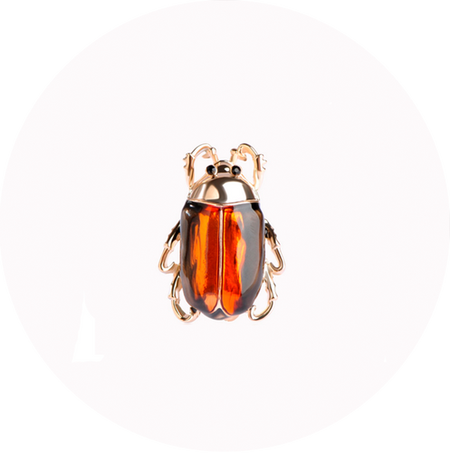 Broche Insecto