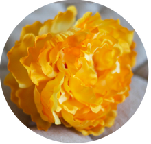 Load image into Gallery viewer, Maxi Peonia amarilla