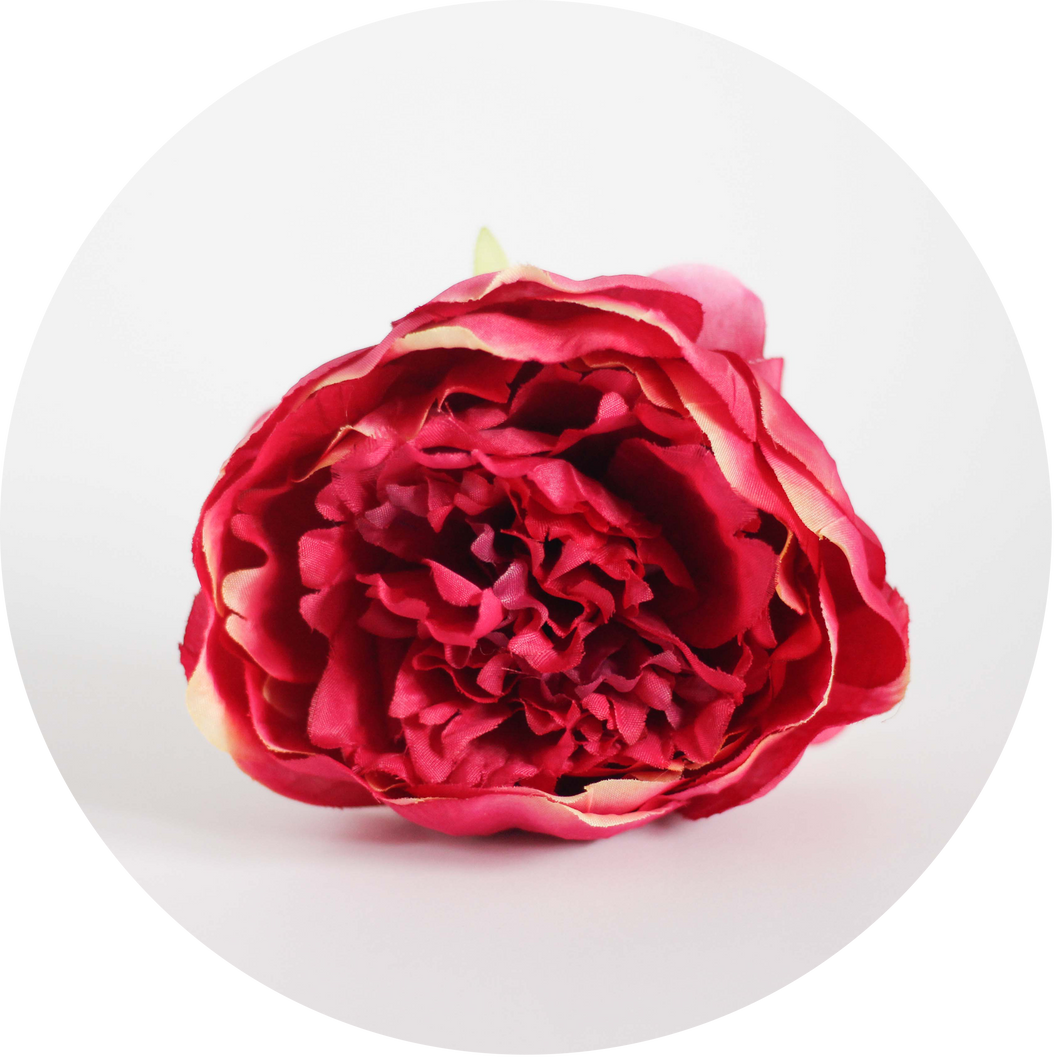 Peonia Rosa