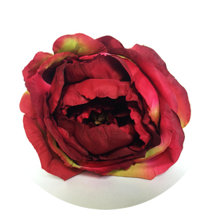 Peonia roja degradada