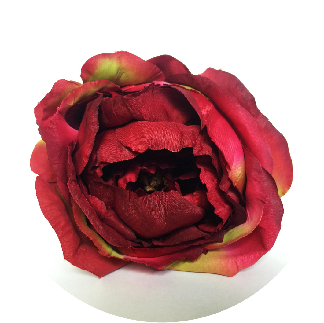 Peonia roja degradada