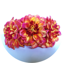 Load image into Gallery viewer, Zinia naranja degradado