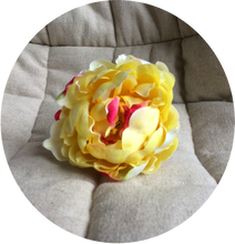 Load image into Gallery viewer, Peonia amarilla fluor degradada