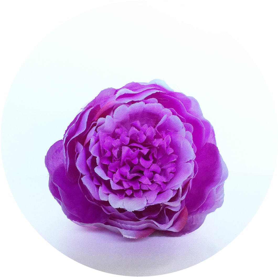 Peonia Fucsia