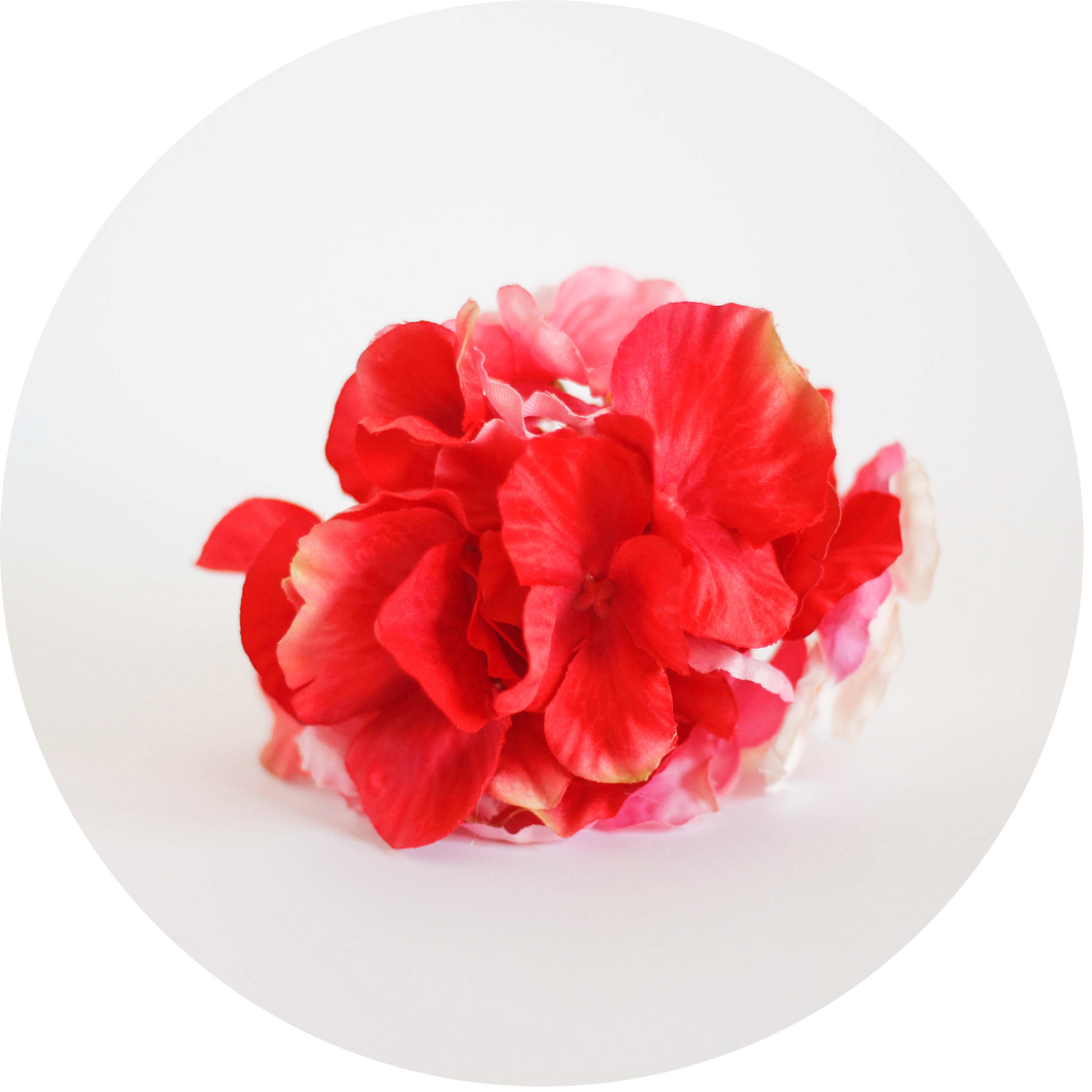 Hortensia roja y rosa bebe