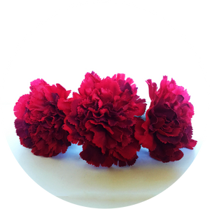 Ramillete de claveles rojos