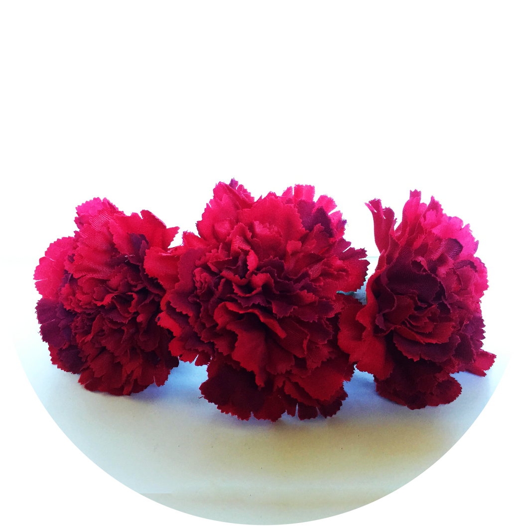 Ramillete de claveles rojos
