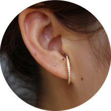 Load image into Gallery viewer, Pendientes Aretes Cocodrille Dorados