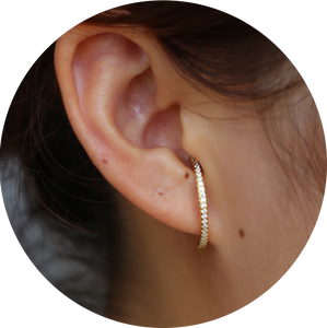 Pendientes Aretes Cocodrille Dorados